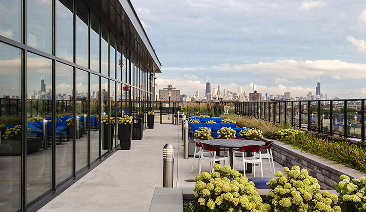 Skyline-Terrace at Residences at Addison Clark Apartments, Chicago, 60613
